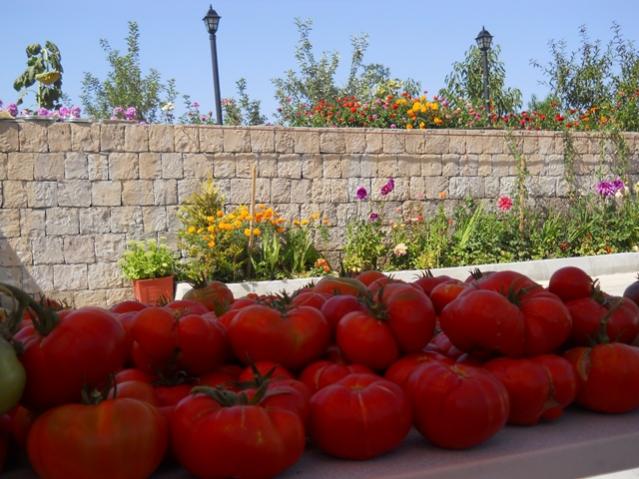 Name:  DSCN2652.jpg
Views: 1030
Size:  54.3 KB