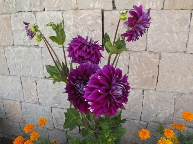 Name:  ali 024.jpg
Views: 924
Size:  53.2 KB