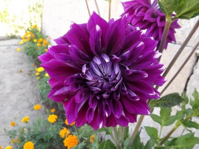 Name:  ali 023.jpg
Views: 913
Size:  48.1 KB