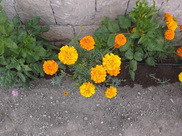 Name:  ali 019.jpg
Views: 895
Size:  62.4 KB