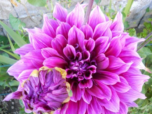 Name:  DSCN2488.jpg
Views: 1147
Size:  56.3 KB