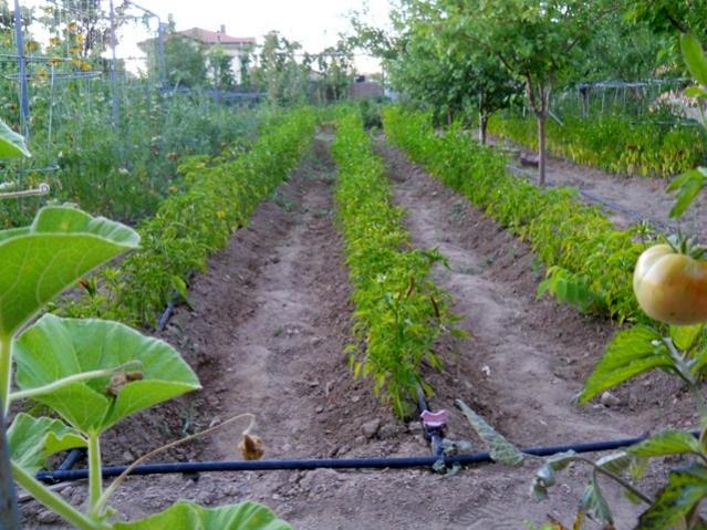 Name:  DSCN2564.jpg
Views: 4951
Size:  64.6 KB