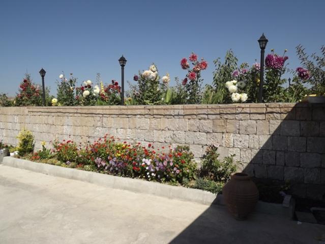 Name:  ali 125.jpg
Views: 2321
Size:  45.5 KB