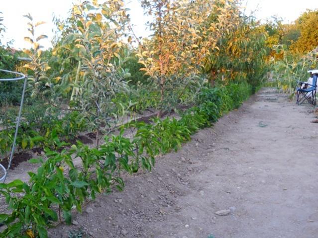 Name:  DSCN2530.jpg
Views: 2339
Size:  65.2 KB