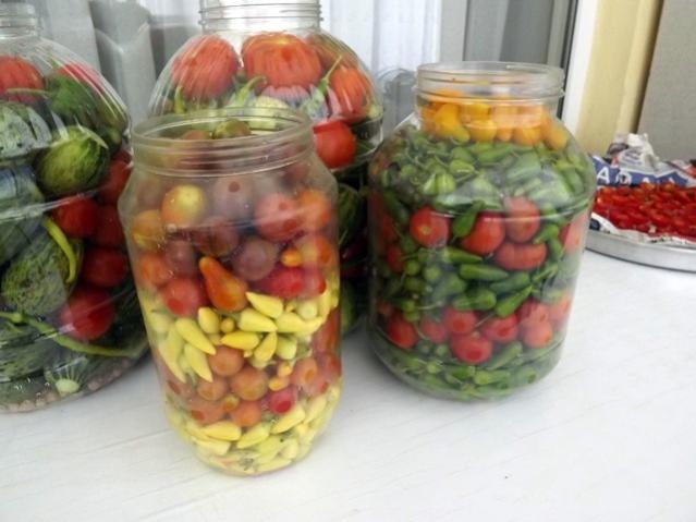Name:  DSCF0994.jpg
Views: 2217
Size:  38.8 KB