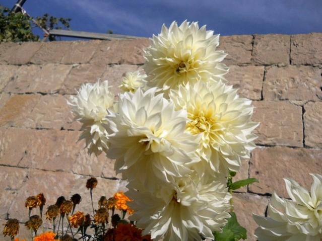 Name:  DSCN2950.jpg
Views: 2165
Size:  48.4 KB