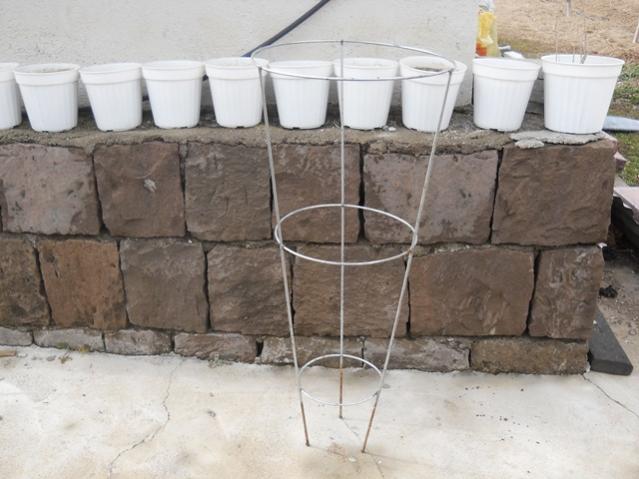 Name:  DSCN4063.jpg
Views: 1034
Size:  43.6 KB