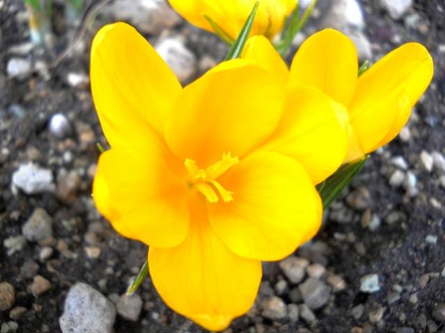 Name:  DSCN4084.jpg
Views: 889
Size:  36.4 KB