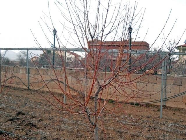 Name:  DSCN4104.jpg
Views: 912
Size:  66.9 KB