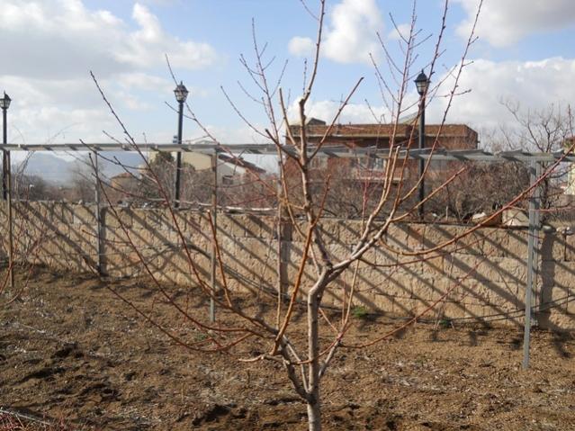 Name:  DSCN4105.jpg
Views: 884
Size:  68.6 KB