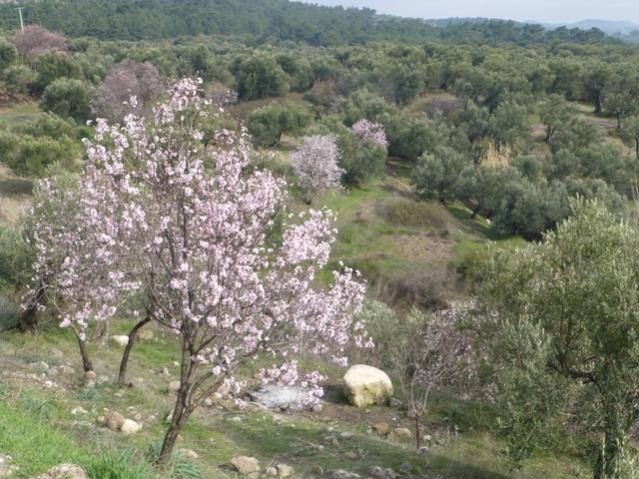 Name:  068.jpg
Views: 1120
Size:  65.2 KB