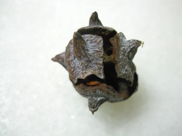 Name:  DSCN4152.JPG
Views: 1202
Size:  61.8 KB