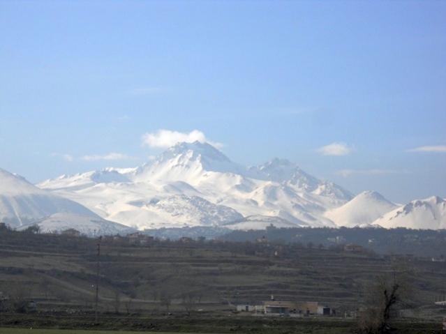 Name:  DSCN4157.jpg
Views: 1170
Size:  24.0 KB