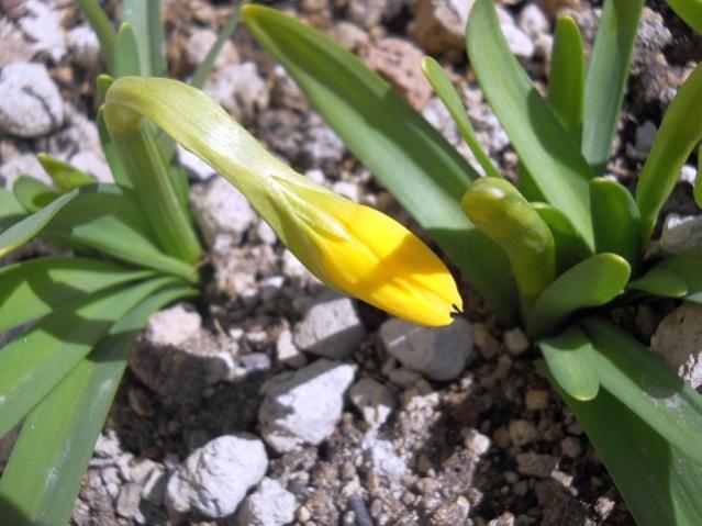 Name:  DSCN4169.jpg
Views: 1147
Size:  45.6 KB