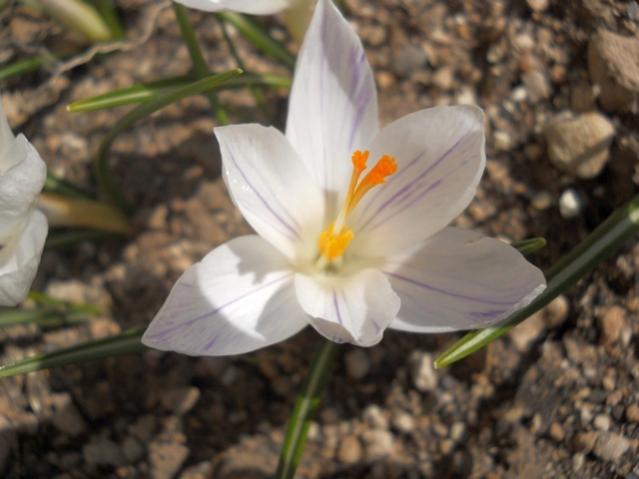 Name:  DSCN4178.jpg
Views: 1111
Size:  36.5 KB