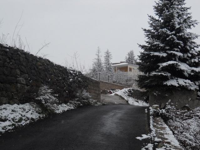 Name:  DSCN4282.jpg
Views: 1266
Size:  46.3 KB