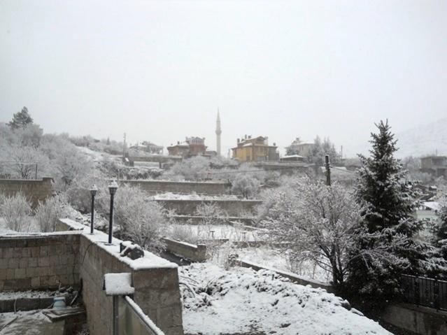 Name:  DSCN4278.jpg
Views: 1038
Size:  44.6 KB