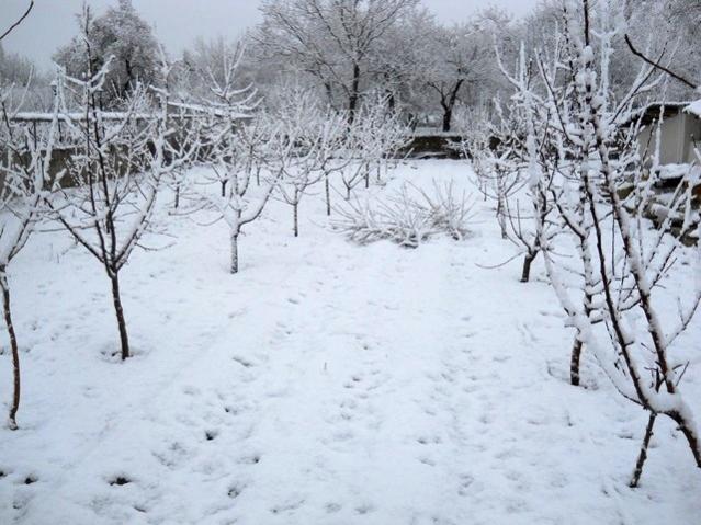 Name:  DSCN4275.jpg
Views: 1061
Size:  56.7 KB