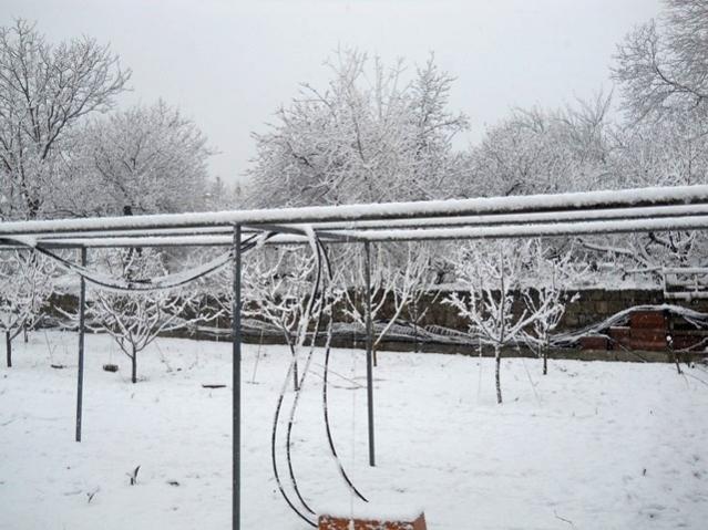 Name:  DSCN4262.jpg
Views: 1049
Size:  55.1 KB