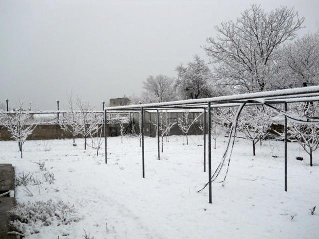 Name:  DSCN4263.jpg
Views: 1086
Size:  46.6 KB