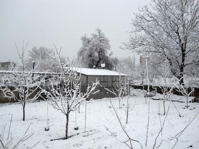Name:  DSCN4264.jpg
Views: 1090
Size:  60.1 KB