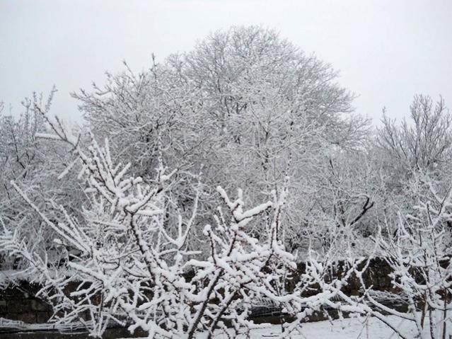 Name:  DSCN4266.jpg
Views: 1136
Size:  69.7 KB