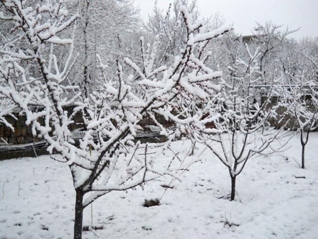 Name:  DSCN4265.jpg
Views: 1075
Size:  69.3 KB