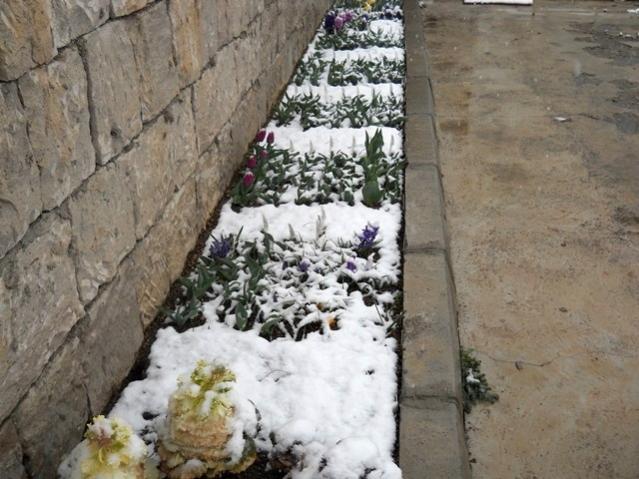 Name:  DSCN4260.jpg
Views: 1017
Size:  55.4 KB