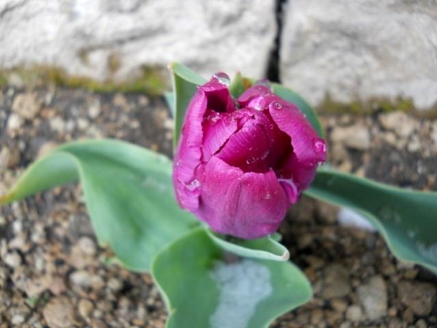 Name:  DSCN4302.jpg
Views: 961
Size:  34.6 KB