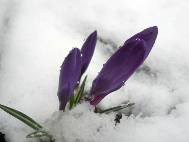 Name:  DSCN4283.jpg
Views: 967
Size:  25.3 KB