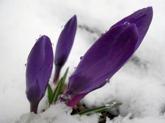 Name:  DSCN4284.jpg
Views: 1008
Size:  25.6 KB