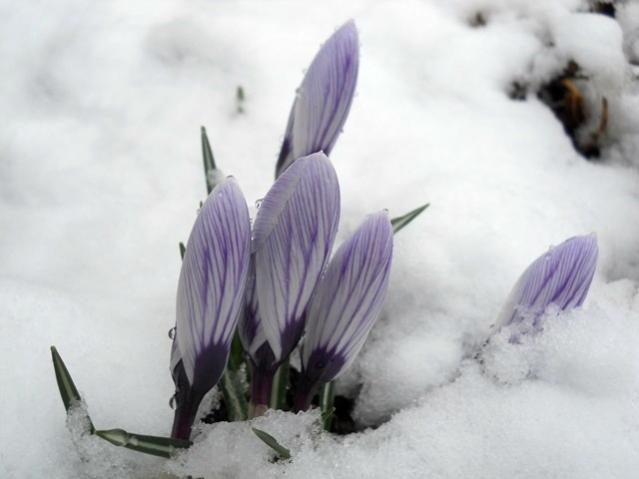 Name:  DSCN4286.jpg
Views: 958
Size:  27.0 KB
