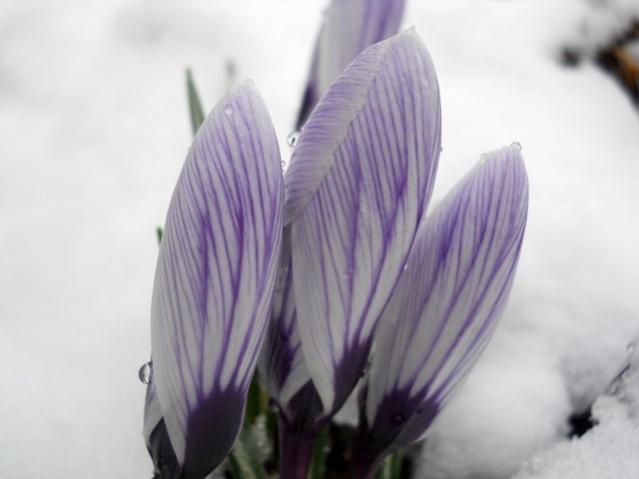 Name:  DSCN4285.jpg
Views: 996
Size:  25.0 KB