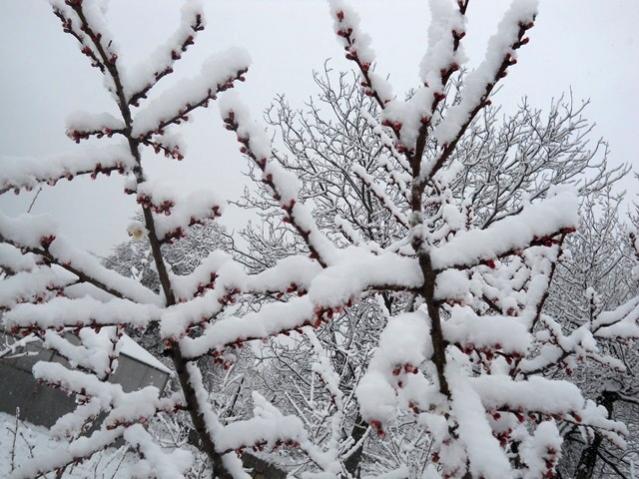 Name:  DSCN4273.jpg
Views: 1131
Size:  62.3 KB