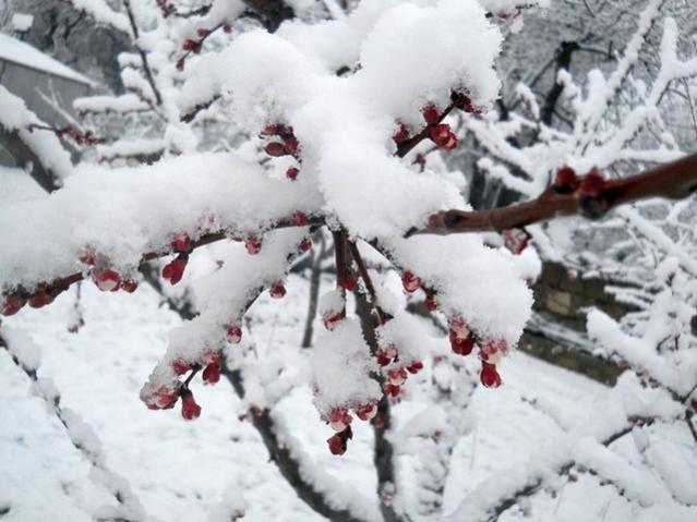 Name:  DSCN4272.jpg
Views: 980
Size:  46.6 KB