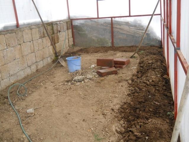 Name:  DSCN4298.jpg
Views: 965
Size:  51.7 KB