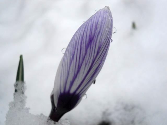 Name:  DSCN4288.jpg
Views: 865
Size:  19.3 KB
