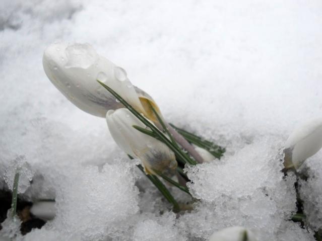 Name:  DSCN4292.jpg
Views: 877
Size:  27.4 KB