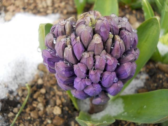 Name:  DSCN4314.jpg
Views: 878
Size:  40.6 KB
