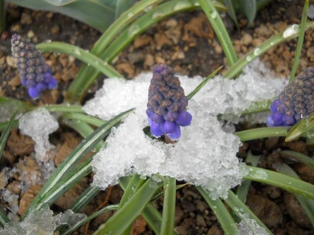 Name:  DSCN4308.jpg
Views: 927
Size:  48.2 KB