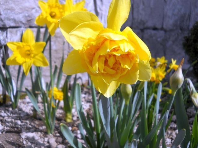 Name:  DSCN4403.jpg
Views: 854
Size:  44.5 KB