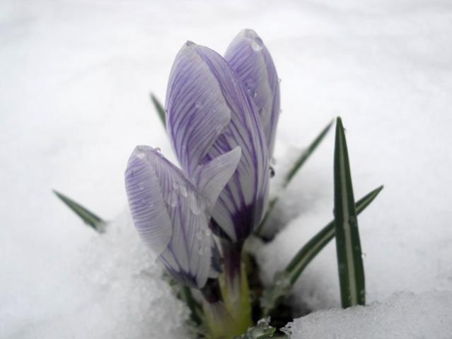Name:  DSCN4290.jpg
Views: 880
Size:  22.4 KB