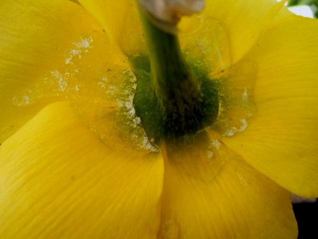 Name:  DSCN4529.jpg
Views: 861
Size:  25.0 KB