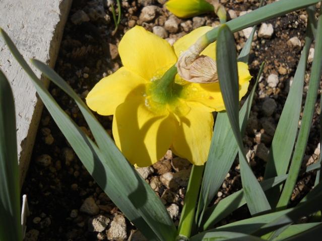 Name:  DSCN4530.jpg
Views: 811
Size:  48.1 KB