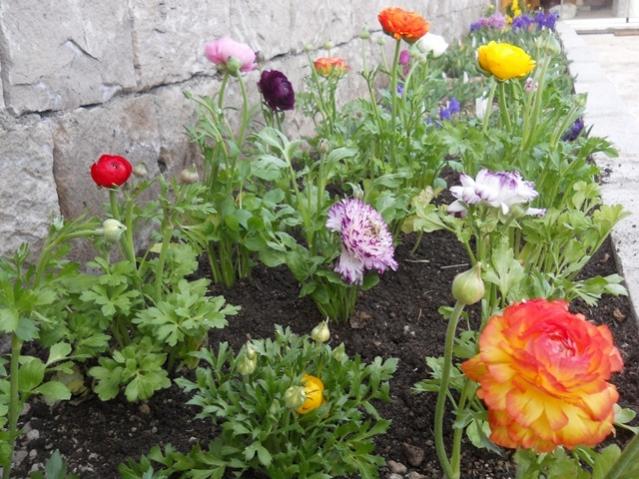Name:  DSCN4652.jpg
Views: 1459
Size:  65.2 KB