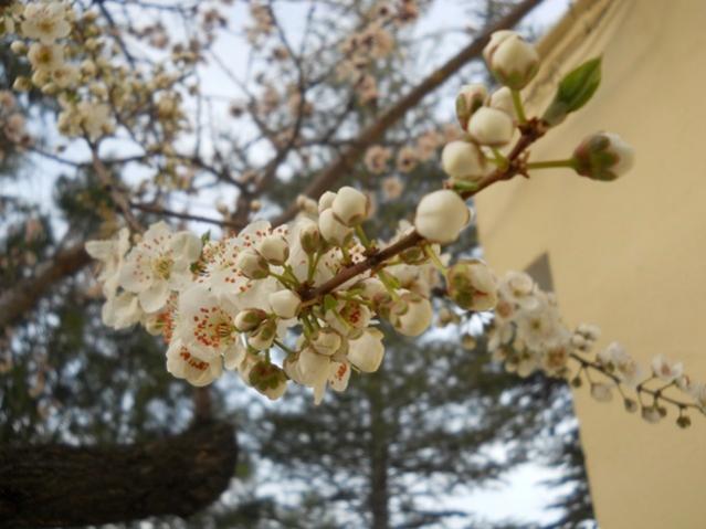 Name:  DSCN4662.jpg
Views: 994
Size:  42.8 KB