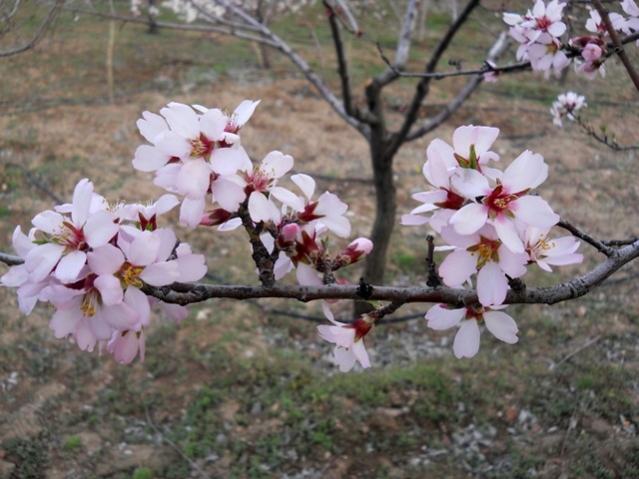 Name:  DSCN4681.jpg
Views: 959
Size:  49.9 KB