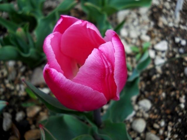 Name:  DSCN4734.jpg
Views: 843
Size:  34.7 KB