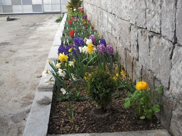 Name:  DSCN4748.jpg
Views: 856
Size:  63.5 KB