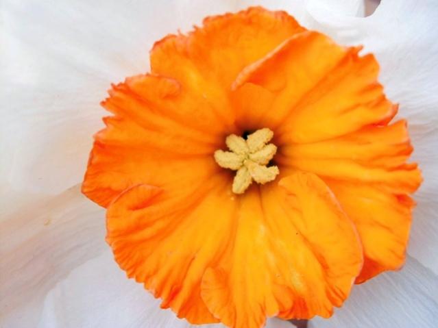Name:  CIMG0018.jpg
Views: 807
Size:  26.2 KB